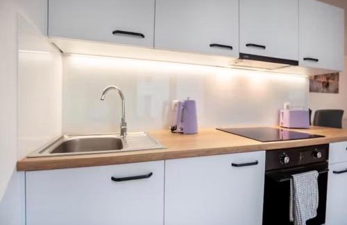Greifswald Appartement | Modernes und wunderschönes Loft mit Terrasse, Gartenblick in Greifswald