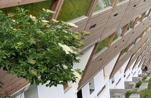 Arc-1600 Appartement | Modernly designed Apartment , Heart of the station, Ski on door, south terrace