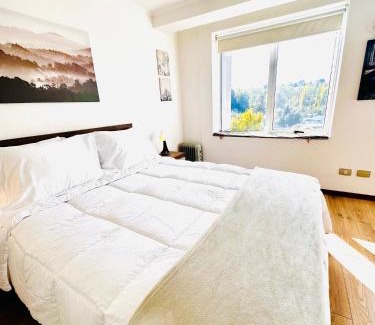 Osorno Appartement | Moderno departamento en Osorno