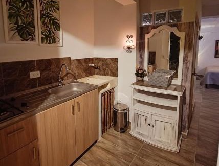 Concepcion Appartement | Moderno y acogedor departamento