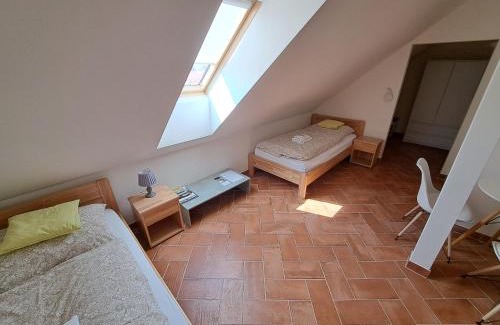 Archlebov Maison | Modrá Hortenzie