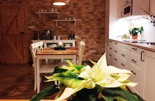 Szczytna Appartement | Modrzewiowe Zacisze