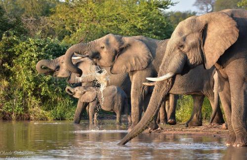 Hoedspruit Maison | Mohlabetsi Self Catering Bush Lodge