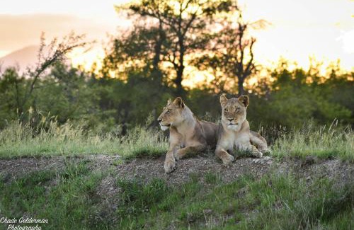 Hoedspruit Maison | Mohlabetsi Self Catering Bush Lodge