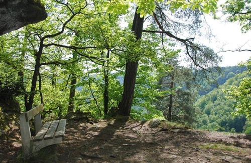 Pfarrkirchen im Muehlkreis Appartement | Mohnblumen Studio, 2 Personen - Gästehaus Pension Lang
