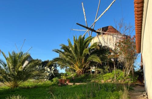 Santiago do Cacem Appartement | Moinhos do Paneiro, Studio IDA without kitchen, sea view