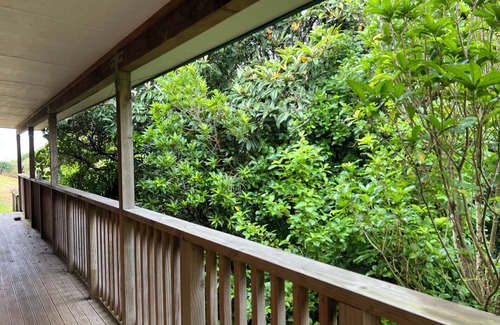 Tuateawa Maison | Mokoroa Retreat - peaceful location, pet friendly!