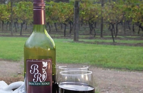 Lovedale Appartement | Molly Morgan Vineyard Villa Shiraz. Couples Retreat in the Hunter