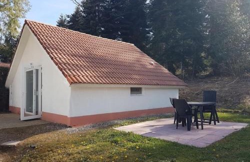 Daumazan-sur-Arize Chalet De Ski | Mon chalet en Ariège avec piscine