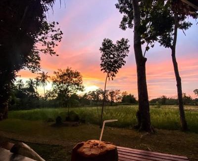 Nuwaragam Palatha Central Maison | Monara Arana Farm Resort