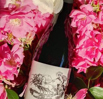 Vignale Monferrato Maison | Monfrà - Ospitalità Rurale, Vigneti e Cantina