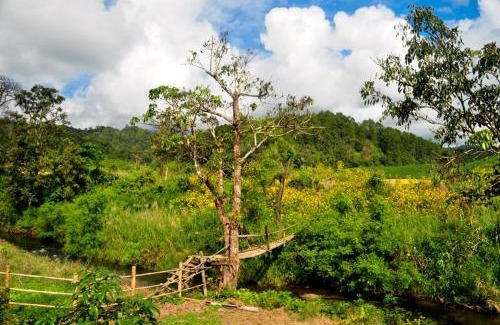 Huai Makhuea Som Maison | Mong Homestay Resort