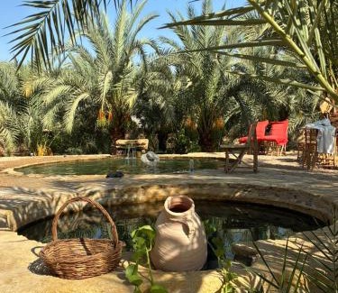 Siwa Autre | Monica Camp Siwa مونيكا كامب سيوة