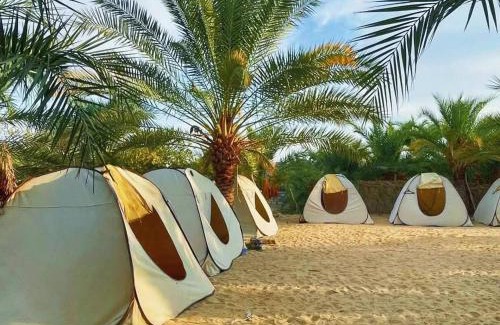 Siwa Autre | Monica Camp Siwa مونيكا كامب سيوة