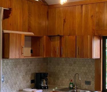 Monterrey Appartement | Monkey House, Monterrey