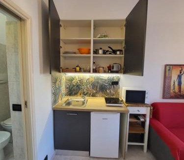 Pisa City Centre Appartement | Monolocale Lungarno