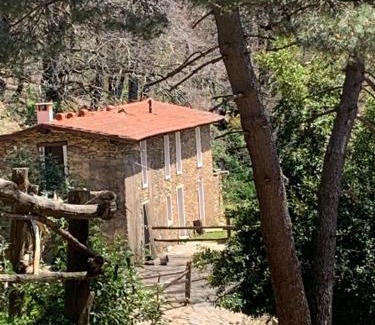 Massa Maison | Monte Brugiana Centro trekking a cavallo