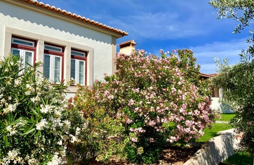 Pedrogao Maison | Monte das Oliveiras - Country House