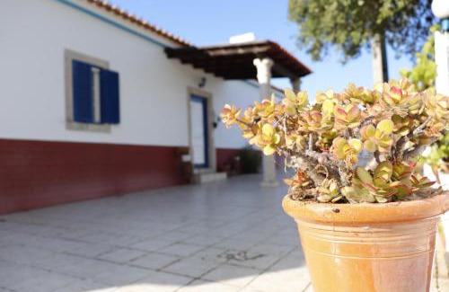 Santa Cruz Maison | Monte do Parral