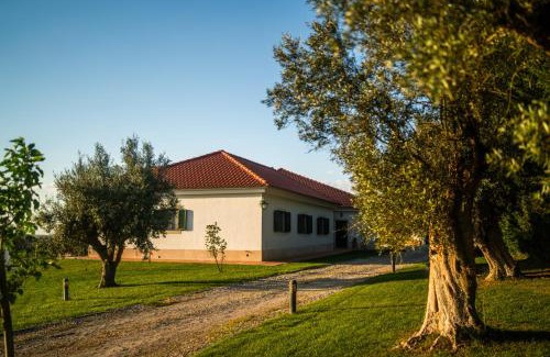 Alcacer do Sal Maison | Monte dos Rolas