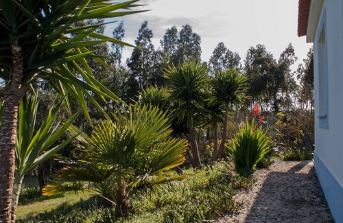 Santiago do Cacem Maison | Monte Horizonte Casa Mimosa Eco & Nature