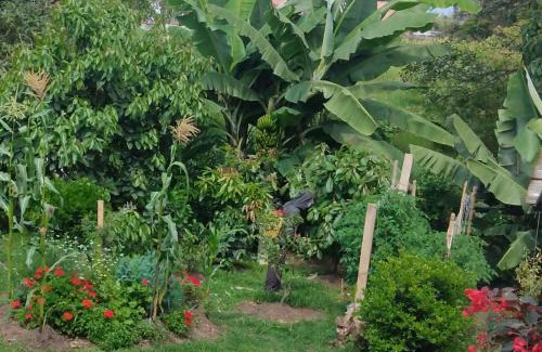 Fusagasuga Appartement | MonteClaro de Fusa