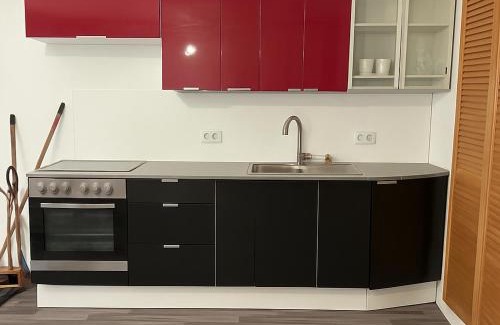 Neustadt an der Weinstrasse Appartement | Monteur- und Ferienwohnung Neustadt an der Weinstraße
