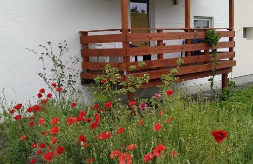 Steffenberg Appartement | Monteur - Ferienwohnung - Marburg-Biedenkopf - Steffenberg - Erdgeschoss mit Balkon