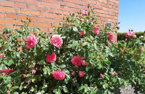 Bunde Maison | Monteurzimmer Ausma Wymeer Bunde - FeWo Vakantiehuis Heerenland