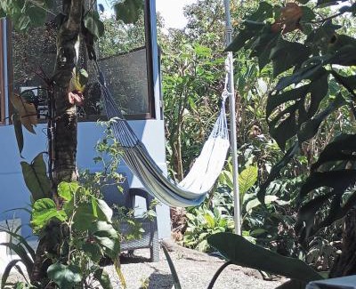 Monteverde Appartement | Monteverde Cecropia Paradise