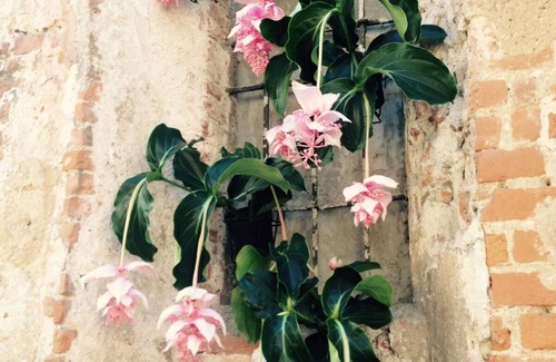Pavia Appartement | Mood Siro Comi