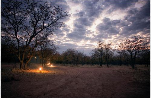 Weipe Cabine | Mopane Bush Lodge