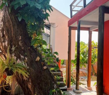 Itacare Maison | Morada Cacauêra