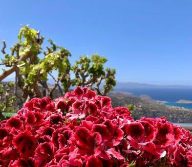 Tourloti Appartement | Morea Bay View