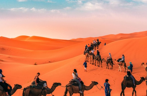 Zagora Autre | Morocco Bivouac Discoveries