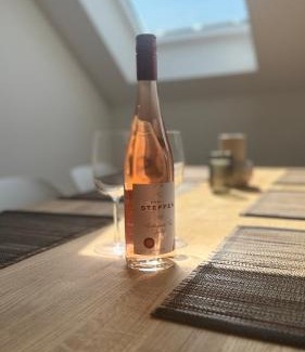 Schweich Appartement | Mosel Home Apartments - Netflix - modern & zentral