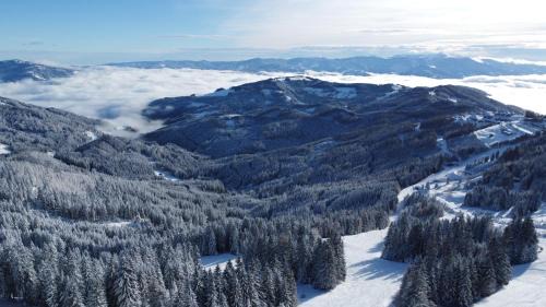 Bad Sankt Leonhard im Lavanttal Chalet De Ski | MoselebauerAlm