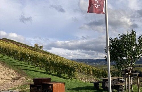 Kluesserath Maison | MoselHoch 2 is the middle of three vacation cottages on the edge of the vineyards.
