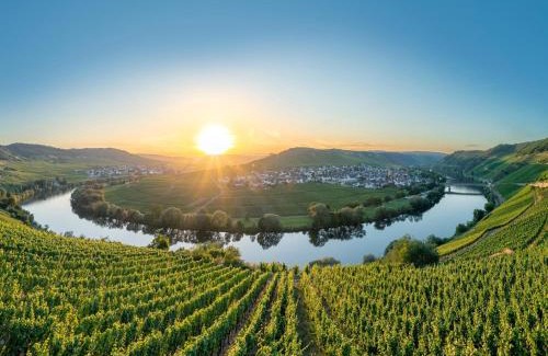 Ediger Appartement | Moselle Charm in Ediger-Eller