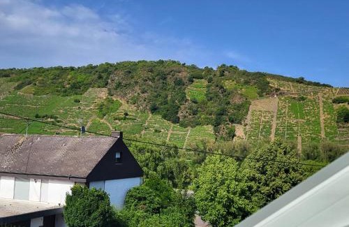 Leiwen Appartement | Moselluft2