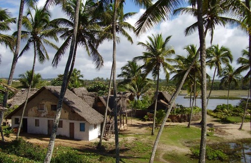 Arembepe Maison | Motorhome em uma das Melhores Praias do Litoral Norte da Bahia