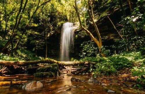 Pilgrims Rest Hôtel | Mount Sheba Rainforest Hotel & Resort