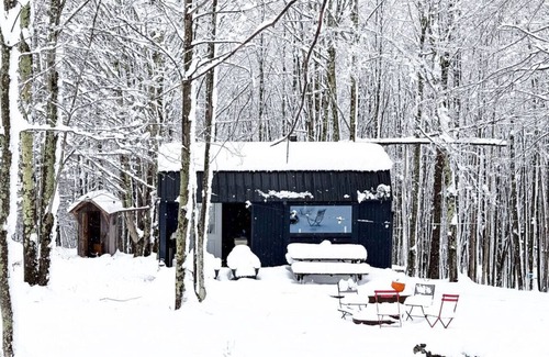 Bovina Center Appartement | Intimate Cabin Off Grid Mountain Hideaway