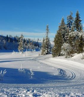 Nord-Aurdal Maison | Mountain cabin in Aurdal Fireplace Sauna 1000 meters above sea level