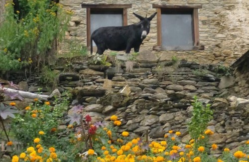 Bonac-Irazein Cottage | gîte de montagne ARIEGE Gîte de France 3 épis de charme et de caractère