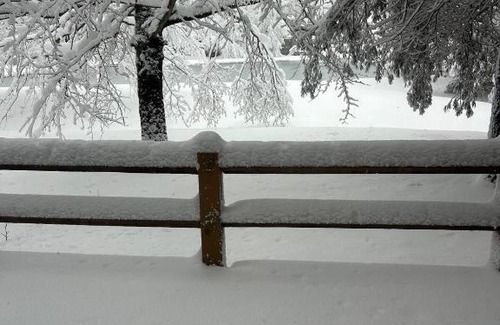White Haven Maison | Mountain Fun-Jack Frost Walk On Whole House