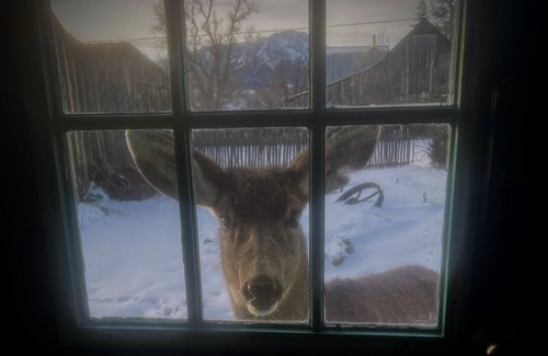 La Veta Maison | Mountain getaway in the heart of La Veta!