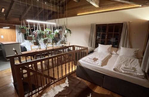 Boenigen Maison | Mountain Homes - Outpost