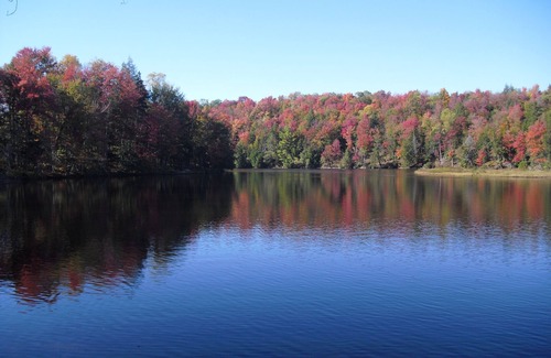 Lowville Cabine | Back-to-Nature Cabane dans les contreforts des Adirondacks