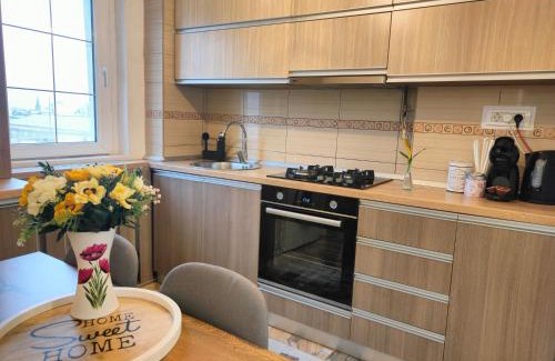 Petrosani Appartement | Mountain View Apartment